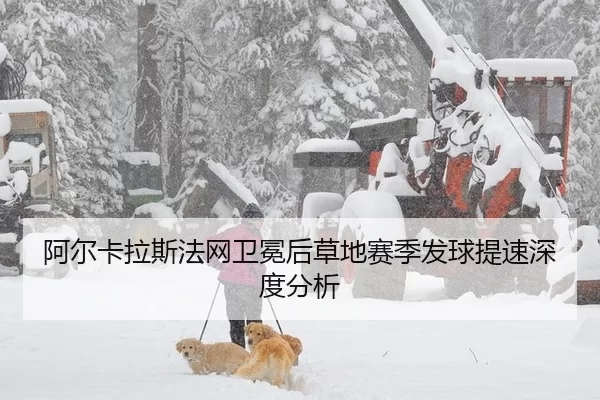 a-er-ka-la-si-fa-wang-wei-mian-hou-cao-di-sai-ji-fa-qiu-ti-su-shen-du-fen-xi-2-498.jpg
