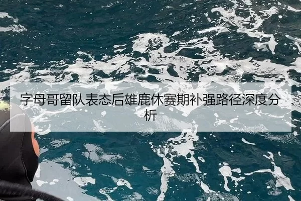 字母哥留队表态后雄鹿休赛期补强路径深度分析